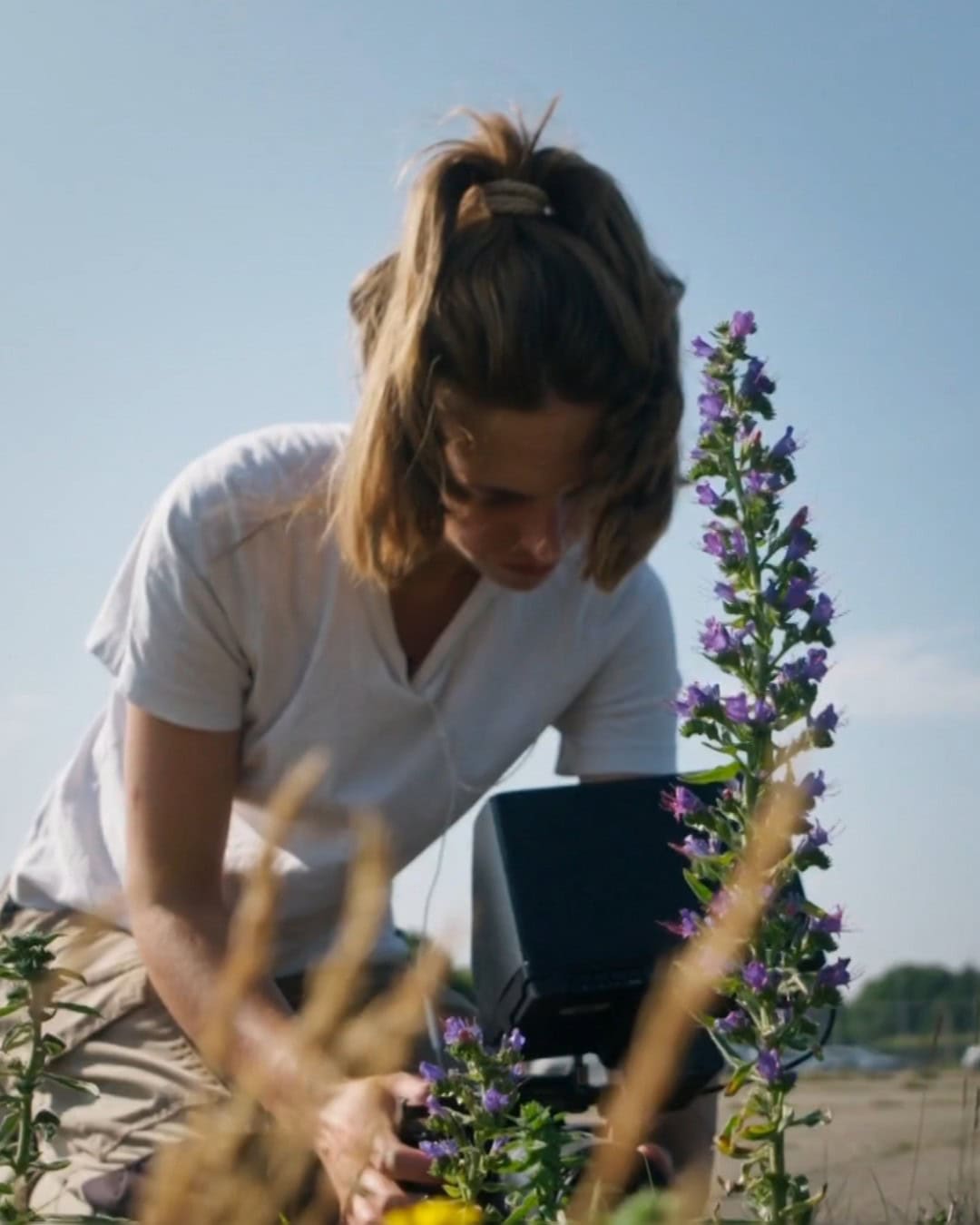 Vrouw houdt tablet vast tussen paarse bloemen op een veld, inspecteert landbouw gewas, luchten en natuurlijke omgeving, duurzame landbouw technologie, biodiversiteit op de boerderij, focus op landbouw en natuur.