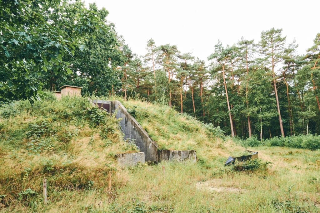 Verlaten militaire structuur op de vliegbasis met natuur die de contouren overneemt.
