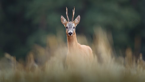 De-vliegbasis-w210-achter-de-schermen.jpg.
