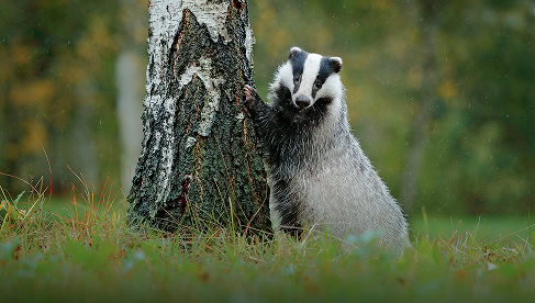Een equipe van een vliegveld met vliegtuigen en controleposten, klaar voor operationele vluchten.