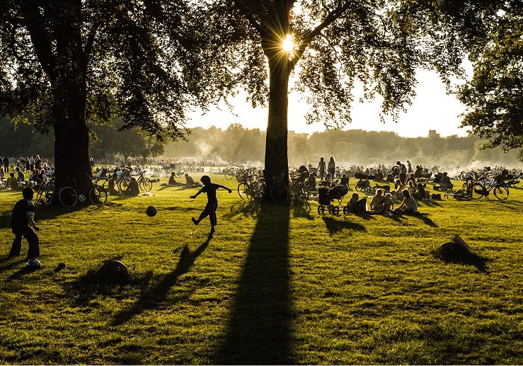 Gezellig park met gezinnen en kinderen die spelen en ontspannen in het zonlicht onder grote bomen tijdens een zonnige dag.