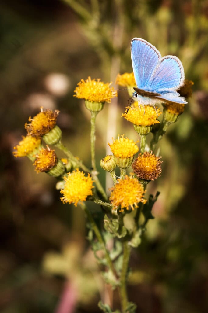 Vliegbasis Nederland met militaire vliegtuigen en faciliteiten in een groene omgeving.