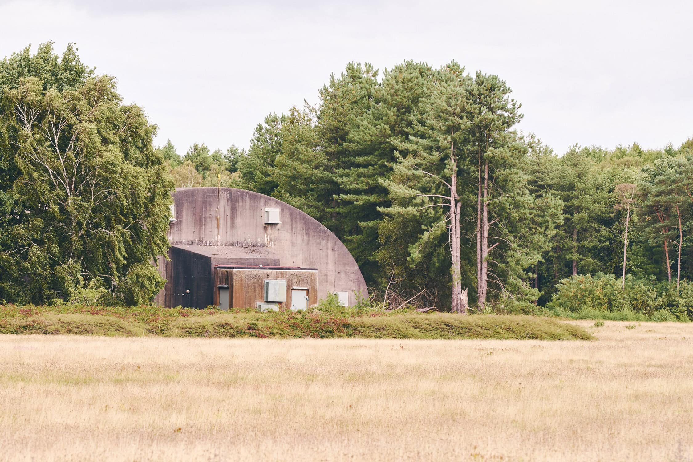 DeVliegbasis, betonnen hangar en bosrijke omgeving, groene bomen en grasland in Nederland, militaire luchtmachtbasis, natuur en infrastructuur.