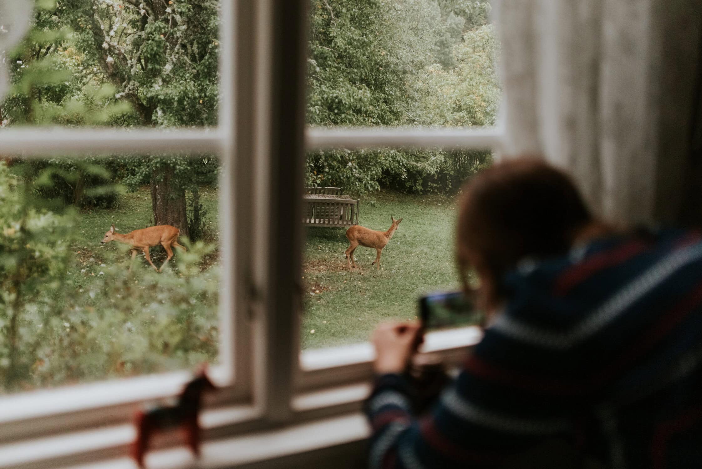 Rustige natuurbeelden van jonge herten gezien vanaf een woning op de Vliegbasis, met een persoon die geniet van de omgeving en foto’s maakt van de dieren.