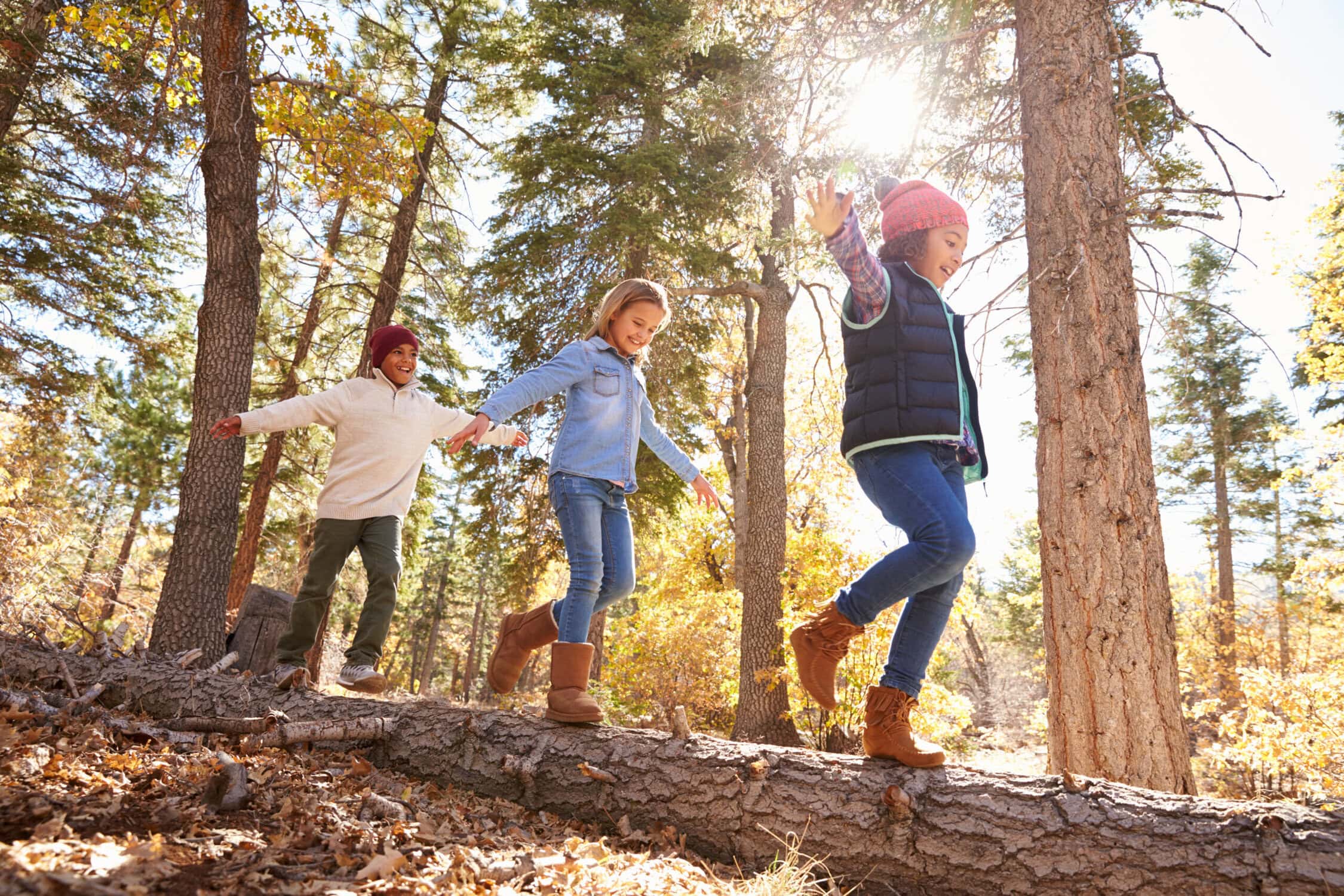 Elevated playground in trees with children holding hands, enjoying outdoor adventure in autumn forest, family fun, nature exploration, frisse lucht en herfstkleuren.