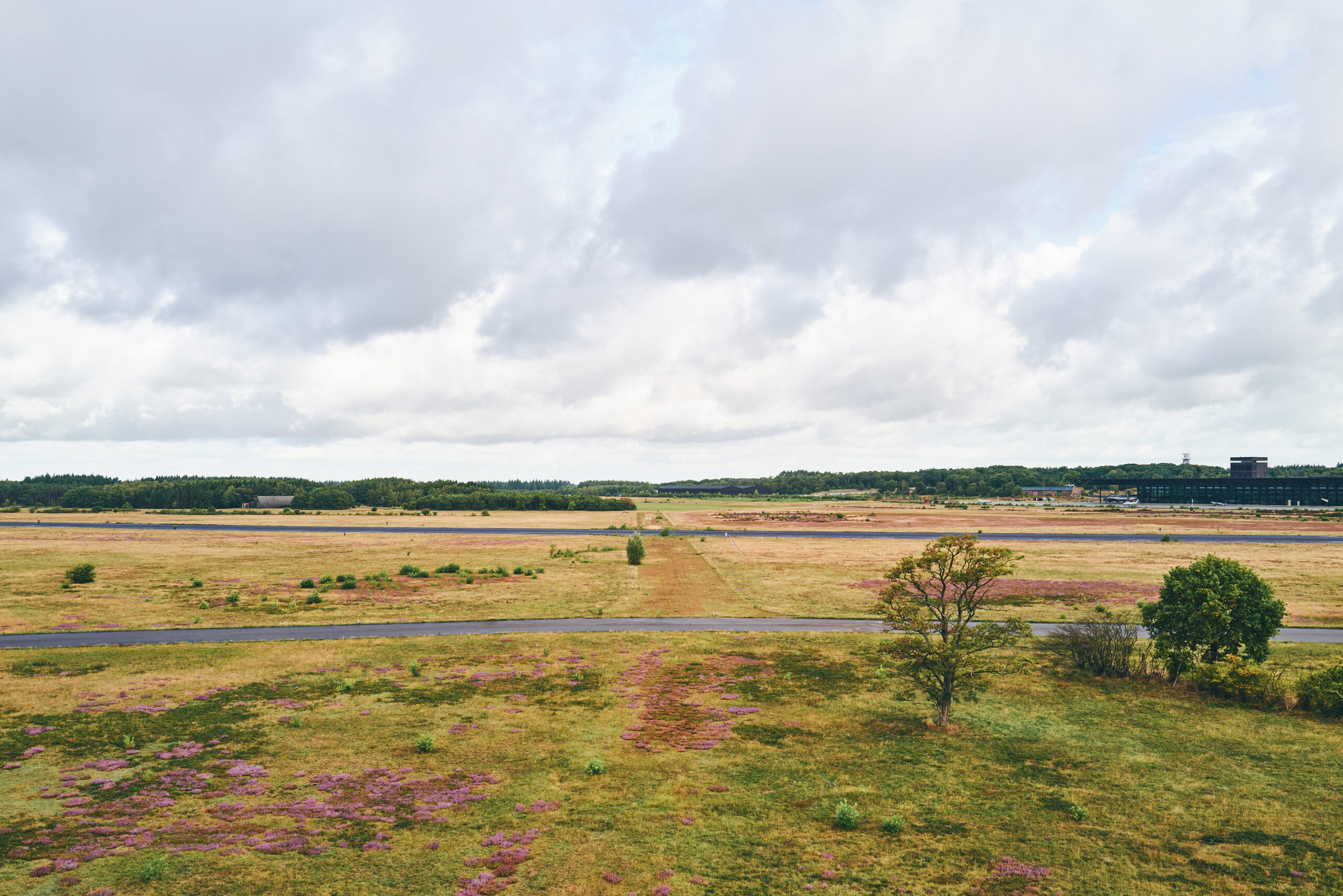 Uitgestrekt vliegveld met groene en paarse begroeiing, gelegen bij de Vliegbasis met gebouwen op de achtergrond, onder een bewolkte hemel, geschikt voor militaire en civiele luchtvaartactiviteiten.