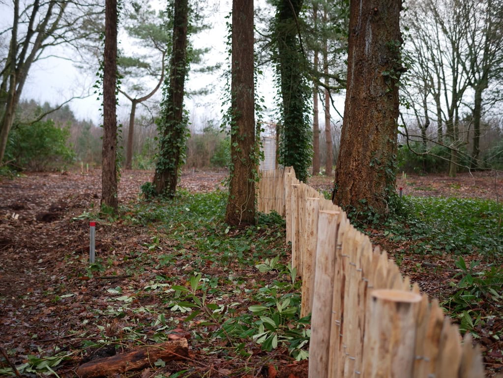 Natuurlijke houten afscheiding in een bosrijke omgeving, met hoge dennenbomen en groene ondergroei, bedoeld als bewegwijzering of afbakening bij militaire of natuurgebieden.