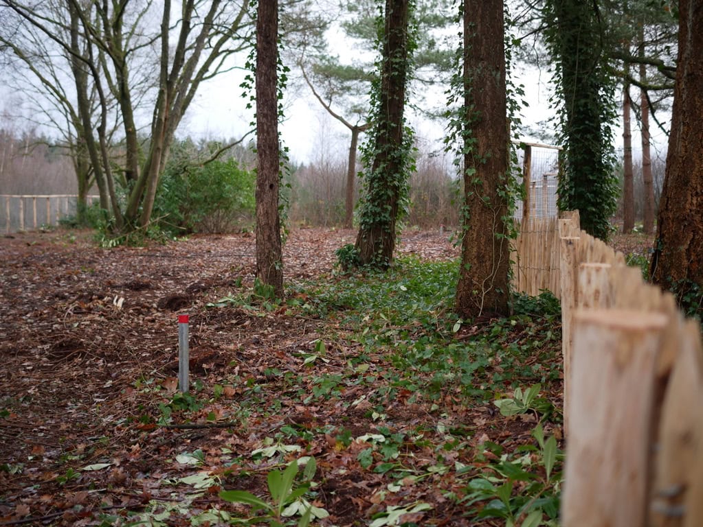 Natuurlijke omgeving rondom de Vliegbasis, ingelijst bomen met houten afrastering en groen planten, rustiek landschap met natuurlijke elementen en bosachtig terrein.