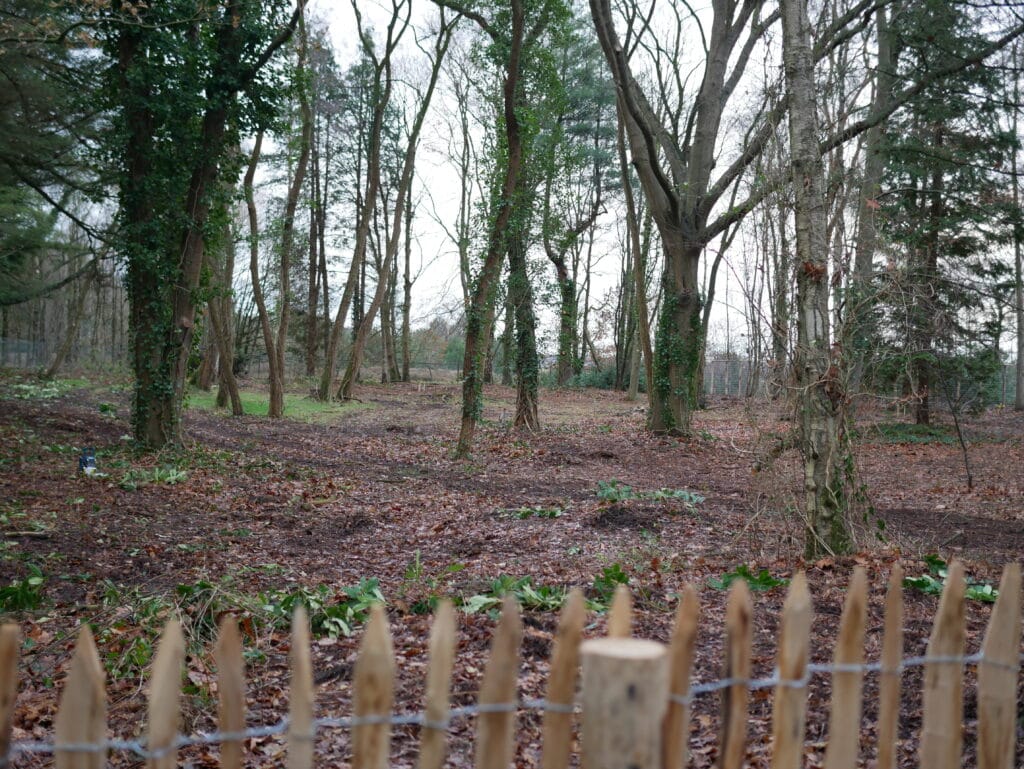 Rustige bosrijke omgeving met bomen en natuurlijke landschappen, ideaal voor ontspanning en recreatie.