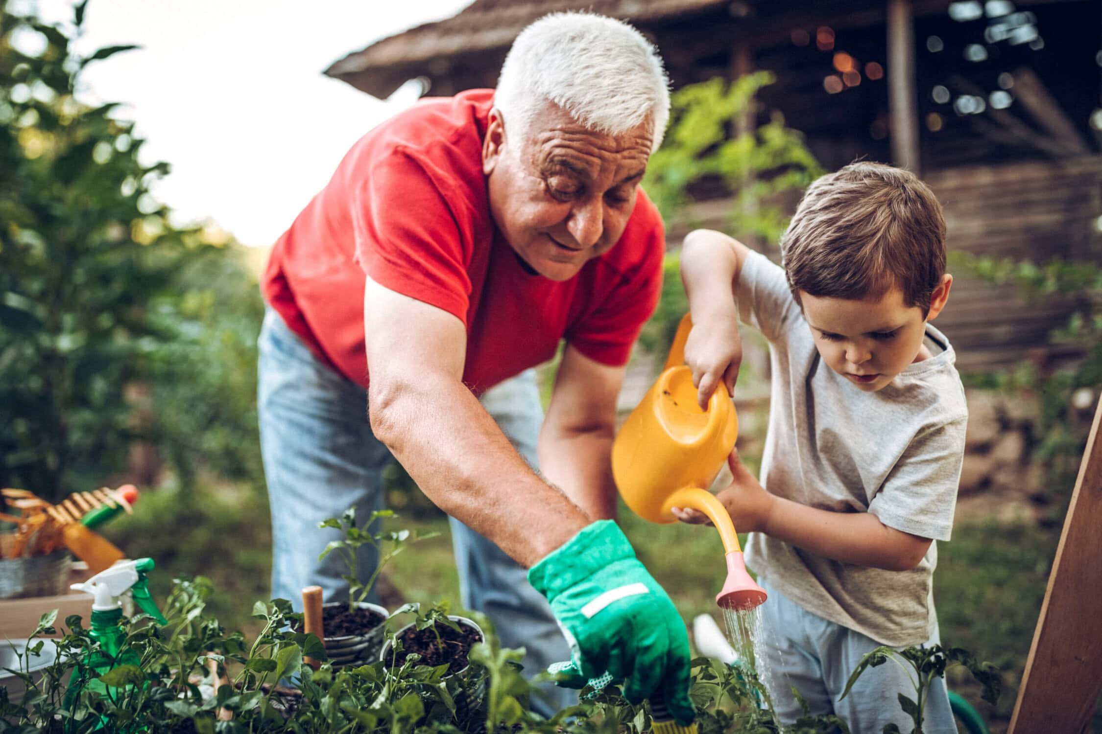 Een oudere man helpt jongen met water geven van planten in de tuin, droomtuin genieten, buitenactiviteiten, familie moment, educatie over natuur en tuinieren, groen project, samen bezig in de tuin.