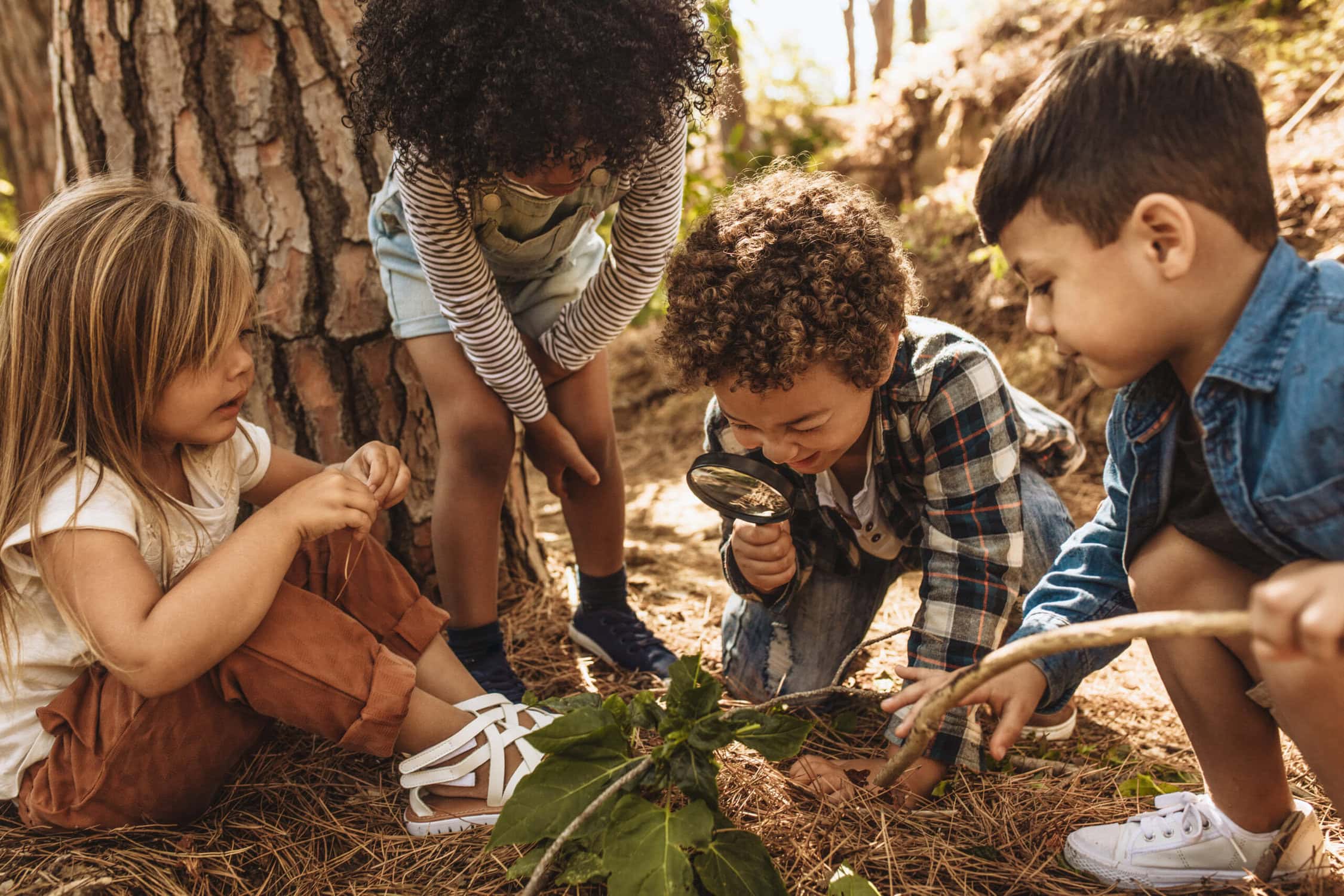 Kinderen onderzoeken de natuur met een vergrootglas in een bos, onder begeleiding van een volwassene, tijdens een educatief buitenactiviteit.