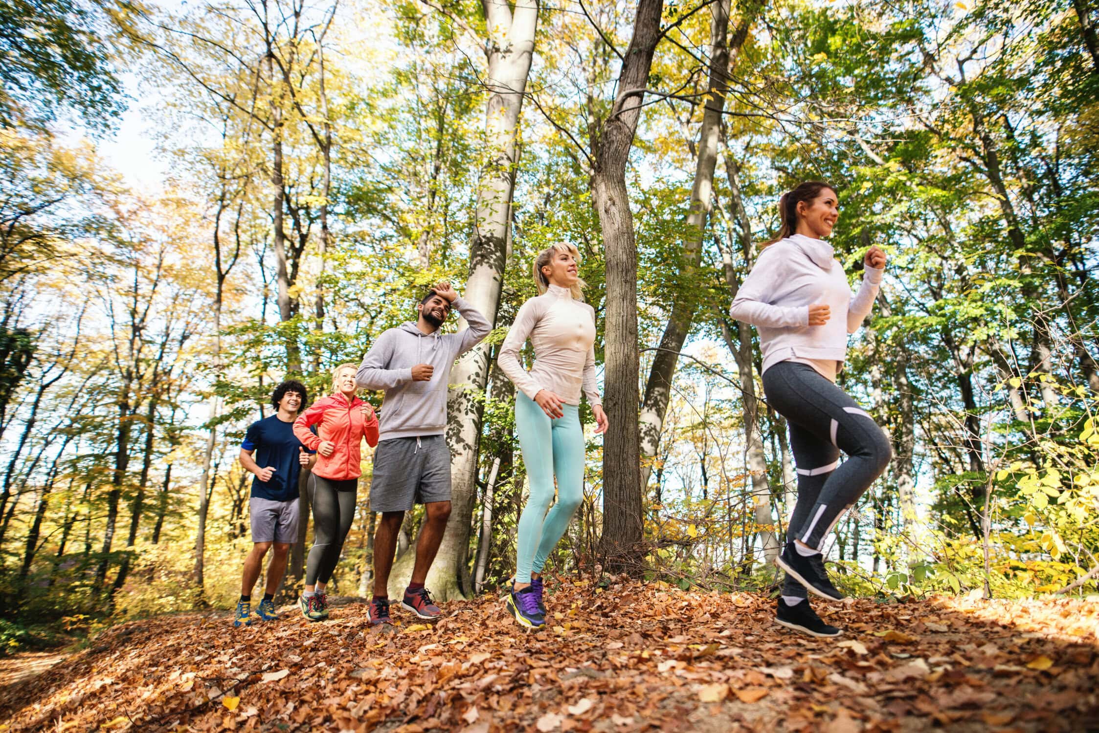 Groep mensen joggend en wandelen in een bosrijke omgeving bij Vliegbasis, ideaal voor outdoor activiteiten en recreatie.